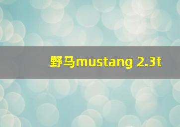 野马mustang 2.3t